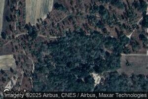 1088 Trice Rd, Newton, GA 39870