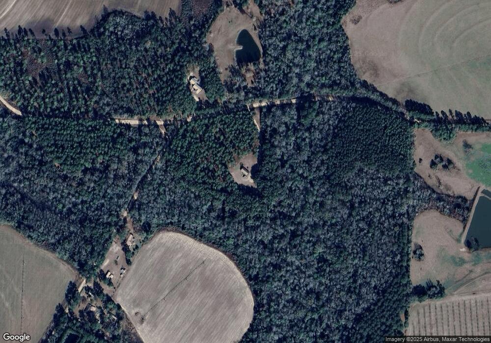 620 Union Hill Rd, Pelham, GA 31779 - photo 1