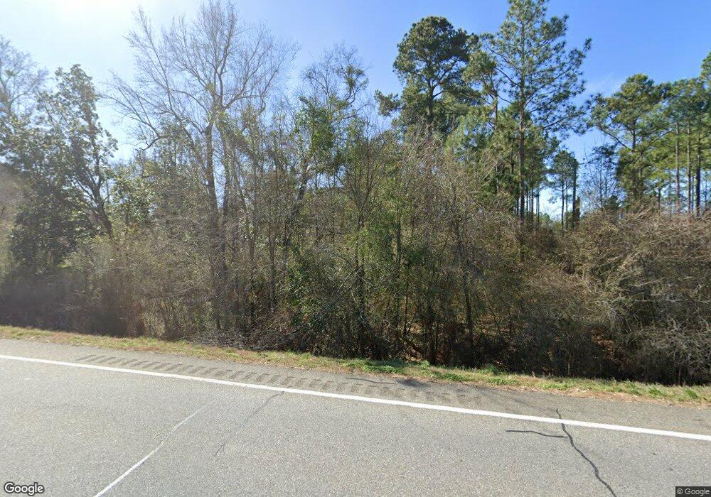 1283 Us Highway 19, Meigs, GA 31765 - photo 1