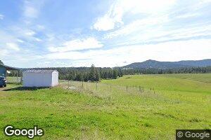 313 Ellis Ln, Plummer, ID 83851