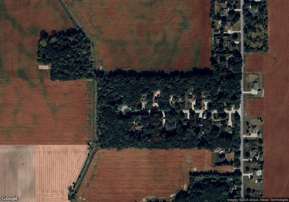 9817 Beech Tree Ln, Frankenmuth, MI 48734 - photo 1