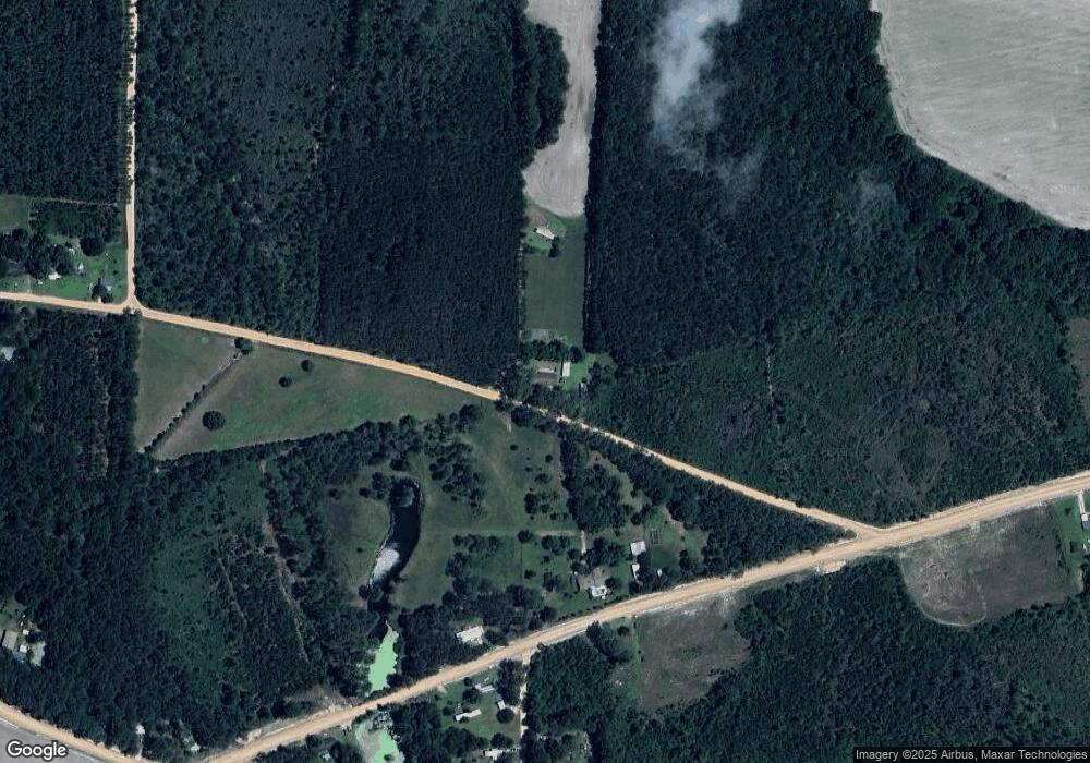 284 Mobile River Rd, Alma, GA 31510 - photo 1