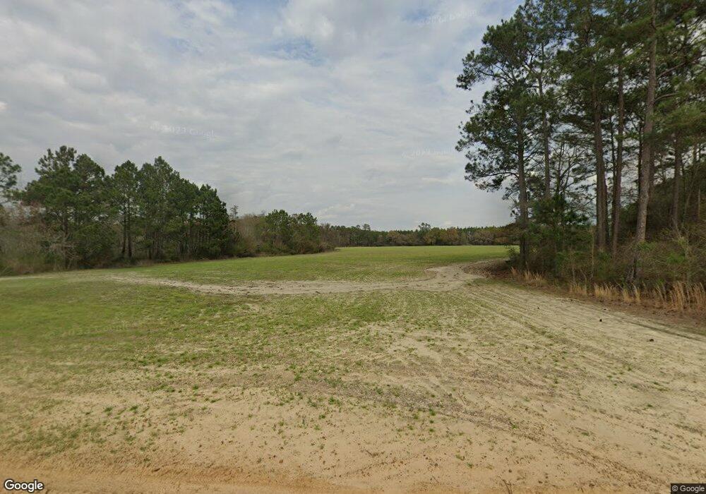 4166 Squirrel Bridge Rd, Nicholls, GA 31554 - photo 1