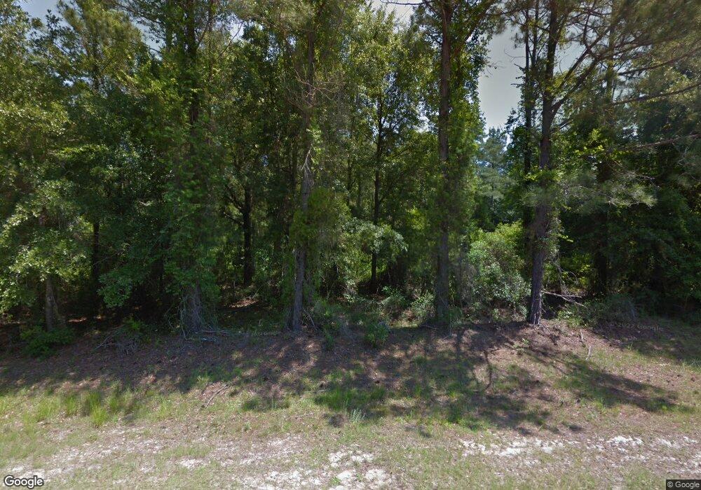 14313 Daisy Nevils Hwy, Claxton, GA 30417 - photo 1