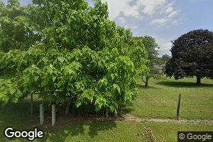 3774 N Mechanicsburg Rd, Shirley, IN 47384