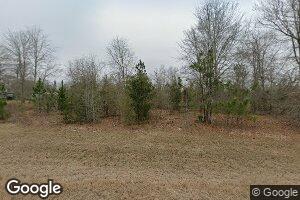 3741 Ga Highway 46, Cadwell, GA 31009