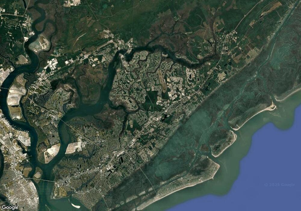 3893 Delingerd Dr, Mount Pleasant, SC 29466 - photo 1