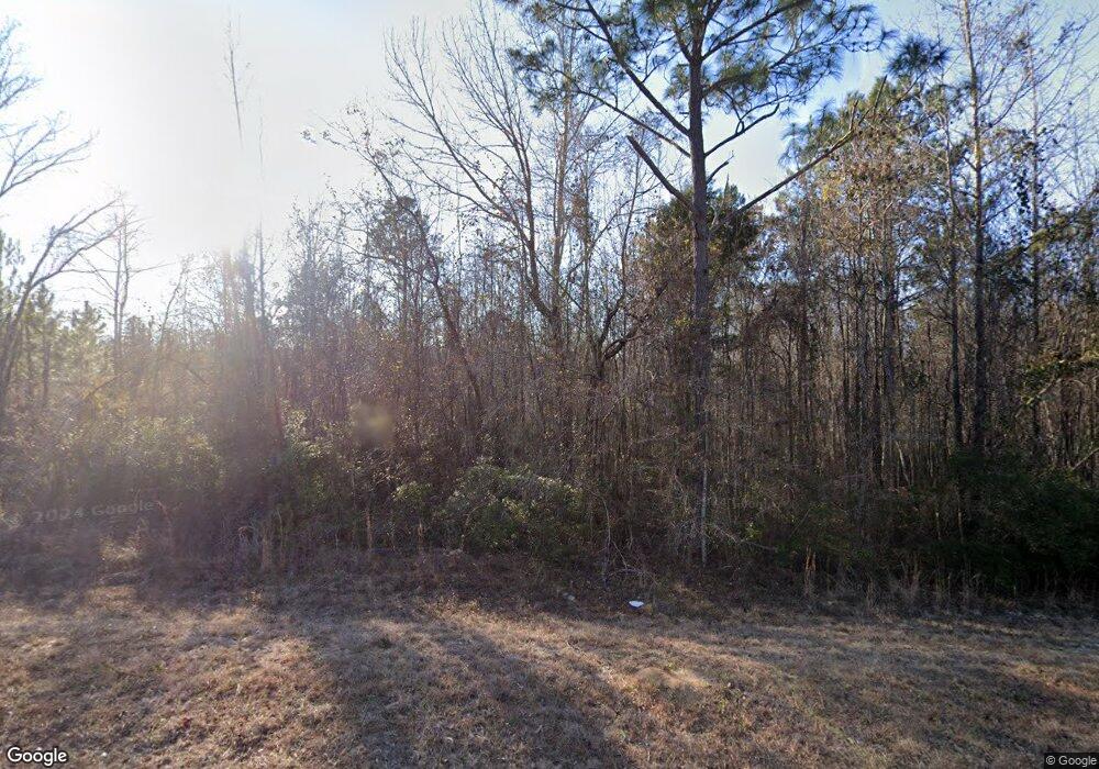 1445 Old Dairy Rd, Ailey, GA 30410 - photo 1