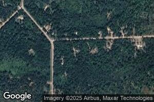 1587 E 68th St, Idlewild, MI 49642