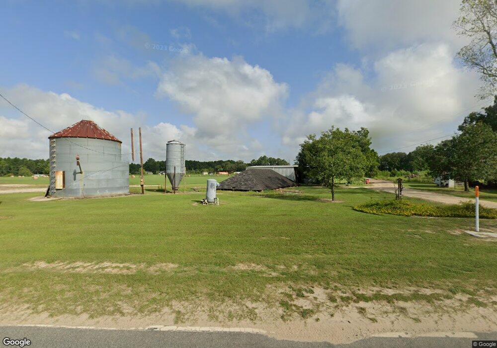 1060 Iowa River Rd, Alma, GA 31510 - photo 1