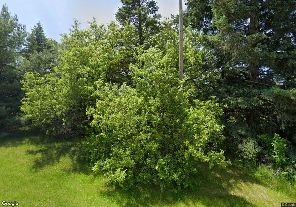 2666 Brodie Rd, South Branch, MI 48761 - photo 1