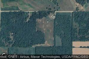 8365 210th St, Randall, MN 56475