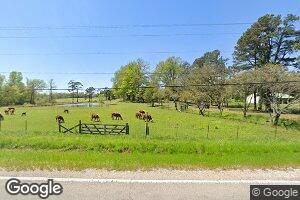 8275 Munford Giltedge Rd, Burlison, TN 38015