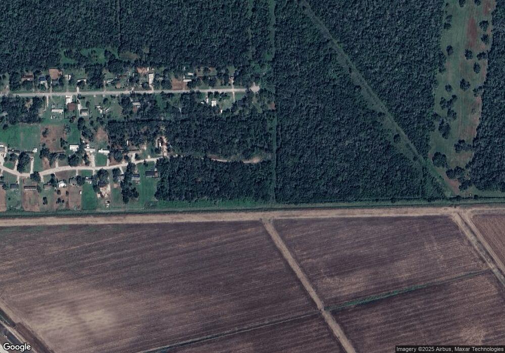 196 Country Oaks St, Brazoria, TX 77422 - photo 1