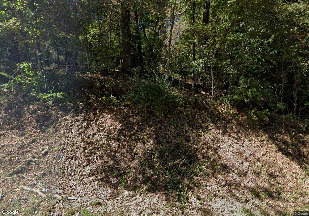 227 Dugas Rd, Dahlonega, GA 30533 - photo 1