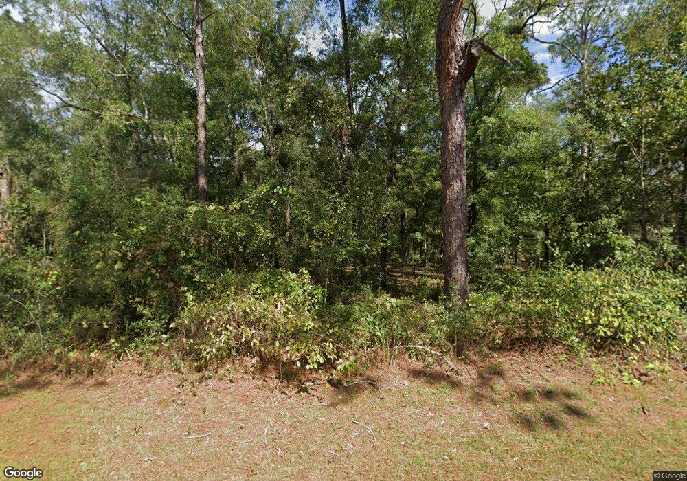 177 Purify Bay Rd, Crawfordville, FL 32327 - photo 1