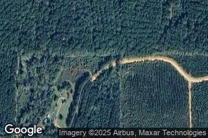 1450 French Cemetary Rd, Montgomery, LA 71454