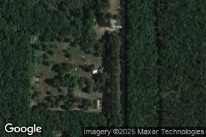 3042 Skidmore Rd, Brethren, MI 49619
