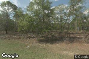 4789 American Legion Rd, Abbeville, GA 31001