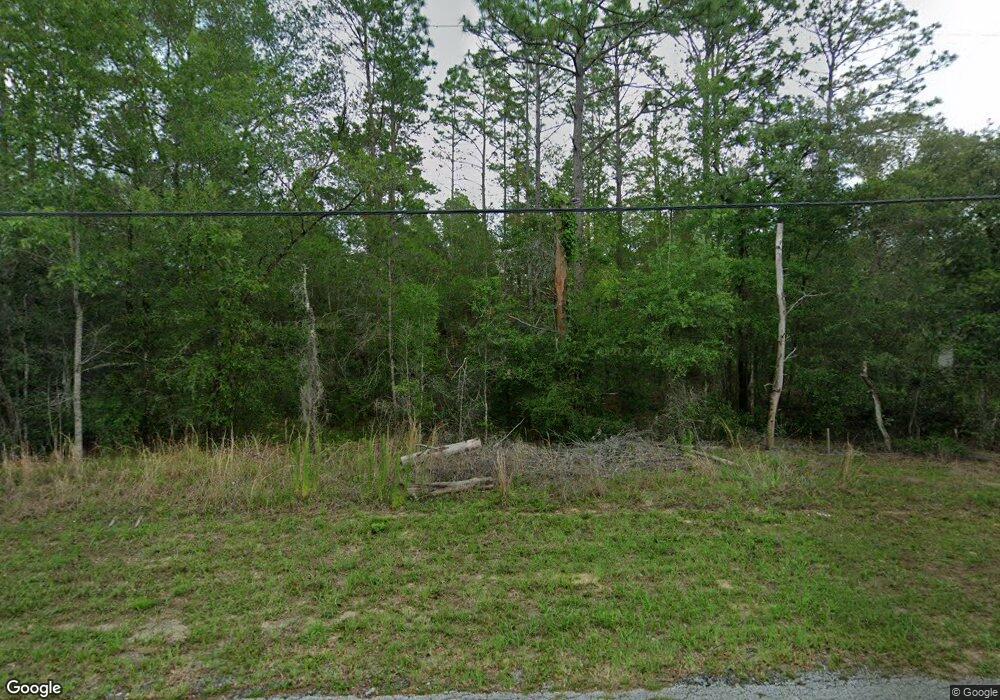 3369 N Tyrone Ave, Hernando, FL 34442 - photo 1