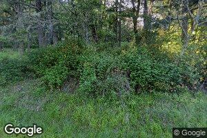 29135 Sheep Head Rd, Brownsville, OR 97327