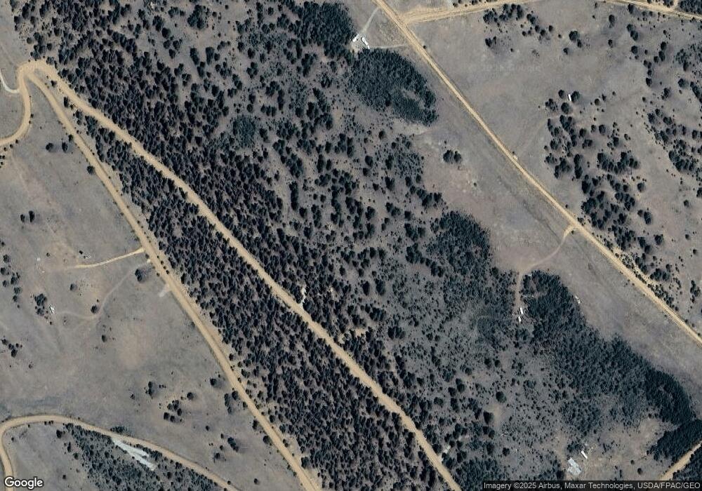 2512 Fitzsimmons Rd, Hartsel, CO 80449 - photo 1