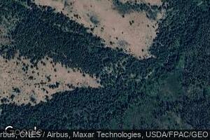 238 Middle Fork Gold Creek, Carlton, WA 98814