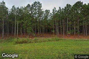 14630 Ten Mile Rd, Surrency, GA 31563