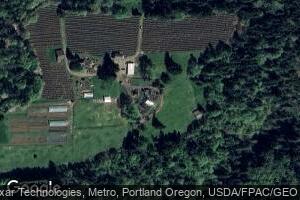 3150 SE Mannthey Rd, Corbett, OR 97019