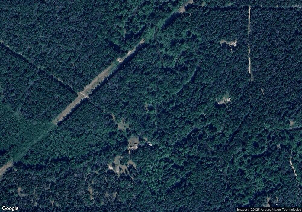 11176 Nibwood Ln, Baldwin, MI 49304 - photo 1