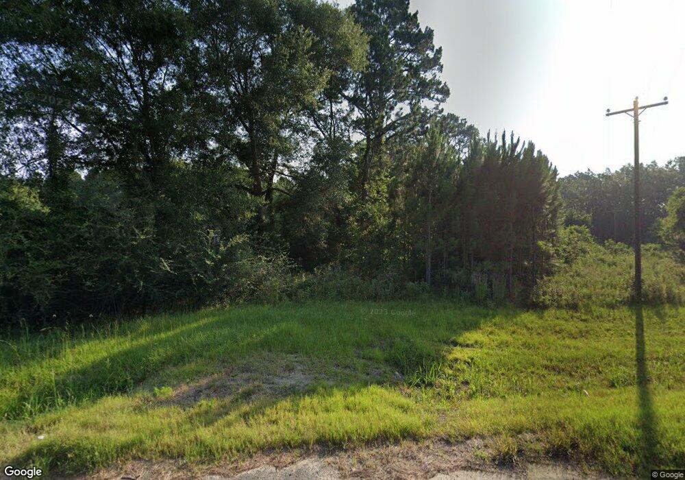 857 Walter Carter Rd, Lenox, GA 31637 - photo 1