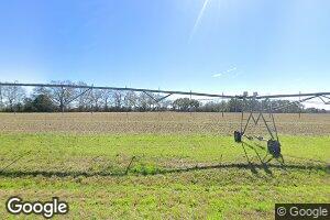 2730 John Collins Rd, Pelham, GA 31779