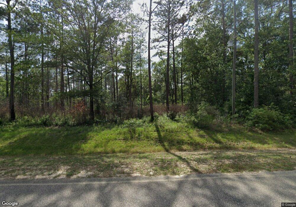 525 David Newton Rd, Norman Park, GA 31771 - photo 1