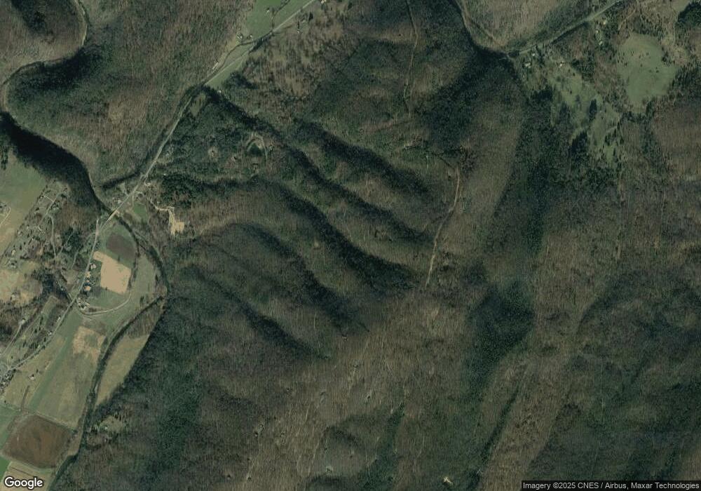 0 Loop Rd unit 1000259294, Franklin, WV 26807 - photo 1