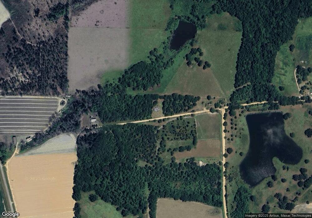 207 Daisy Evans Rd, Climax, GA 39834 - photo 1