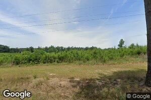 110 Herrin Dees Rd, Collins, MS 39428
