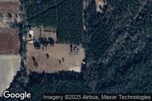 1575 Davis Rd, Screven, GA 31560
