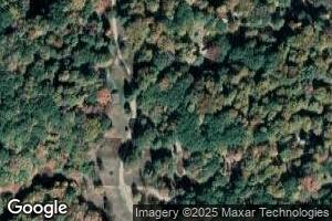 4586 E Deer Cove Rd, Custer, MI 49405