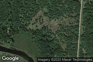 N9650 W Goose Island Rd, Pearson, WI 54462