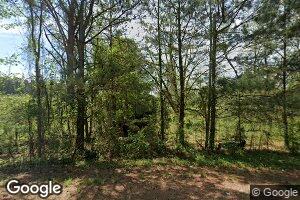 2445 Lower Dublin Rd, Ramer, AL 36069