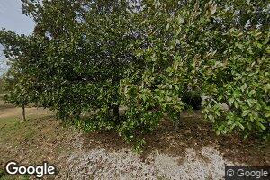 3221 Old Wolfe Rd, Caledonia, MS 39740