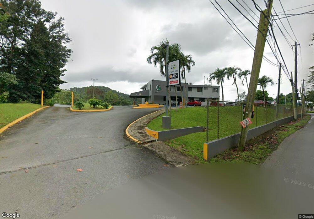 BDA. CUPEY ALTO Caimito Morcelo Carr 842, San Juan, PR 00926 - photo 1