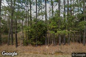 2005 E State Highway 106, Georgiana, AL 36033