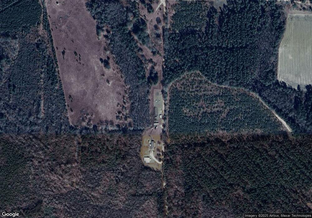 2805 Palmetto Rd, Ambrose, GA 31512 - photo 1