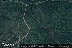 462 McCartyney Rd, Tullos, LA 71479