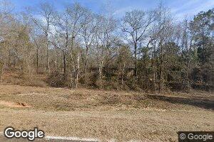 781 Frank Powell Rd, Buena Vista, GA 31803