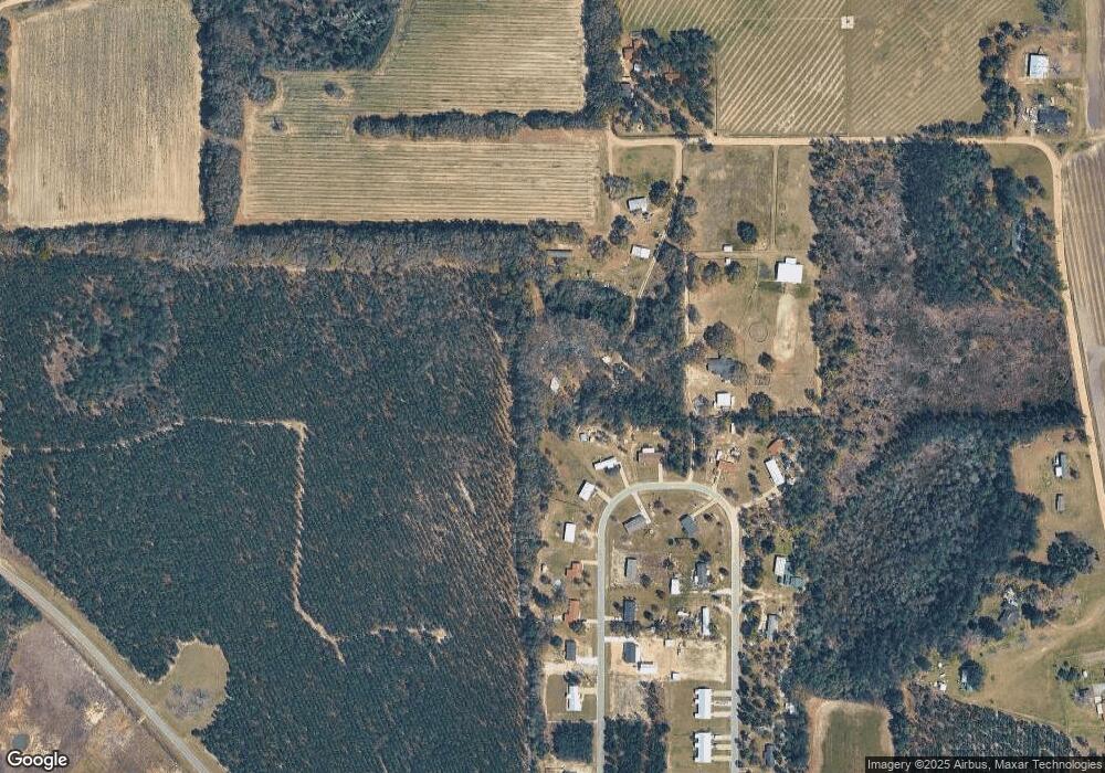 5287 Newton Rd, Blackshear, GA 31516 - photo 1