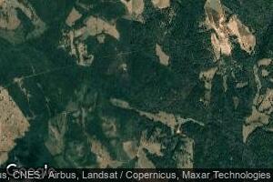 24 AC County Road 2240, Grapeland, TX 75844