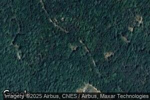 557 Fallbush Mountain Dr, Mathias, WV 26812