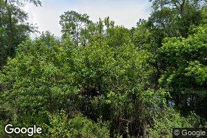 1529 Whiddon Mill Rd, Ty Ty, GA 31795
